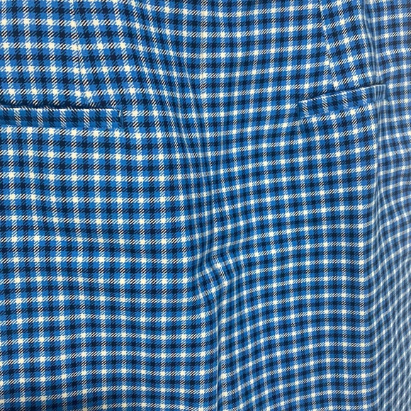 Zara NWOT Blue Micro Plaid
Min Skirt - Picture 7 of 7